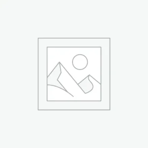 AI-Enhanced Wellness Wearable Devices